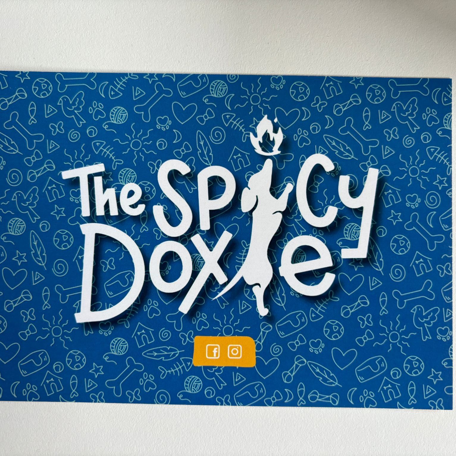 The Spicy Doxie, Marketing digital, Merchandising, Packaging. 